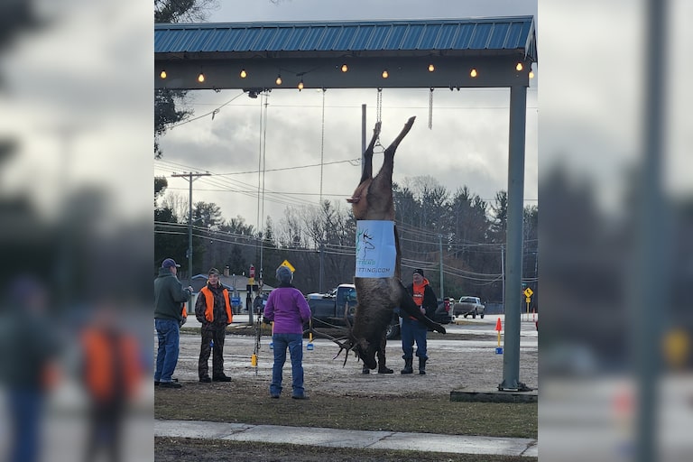 Went to Atlanta, Sunday Dec 10th for fuel.
Never seen one hanging & had to take a picture!
Wow