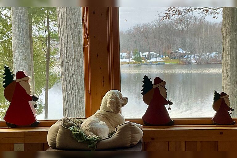 Maggie wants to know if it’s too early to start watching for Santa!  (Ford Lake, Mason County)