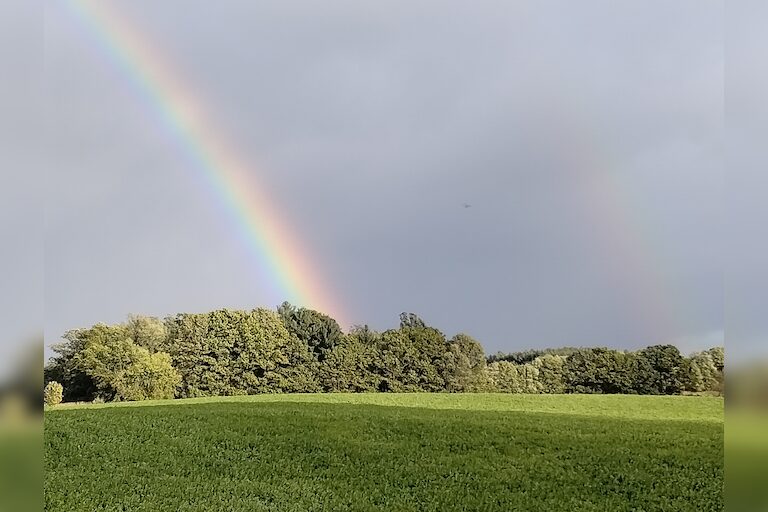 Nice Double Rainbow 