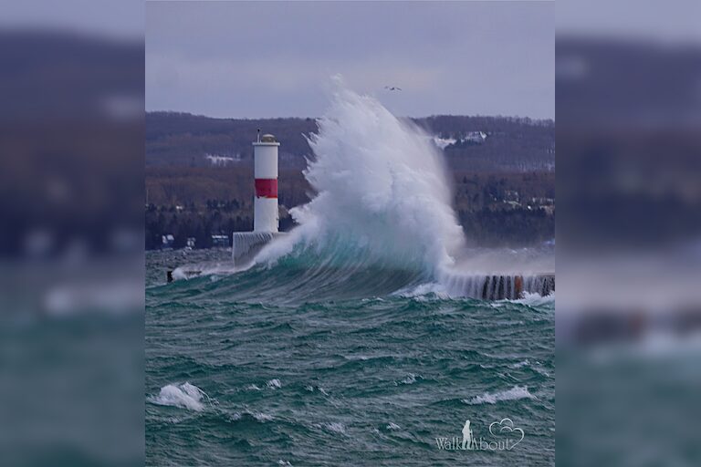 Little Traverse Bay Power and Beauty